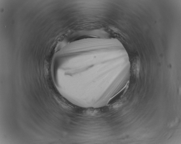 X0000072940570200608181344