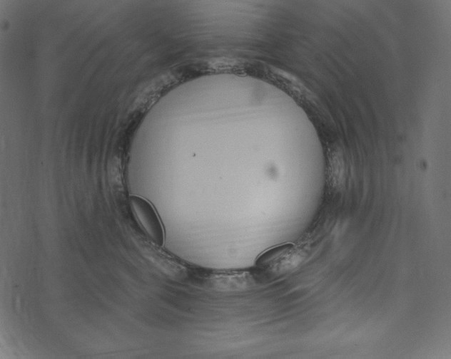 X0000072940571200608181344