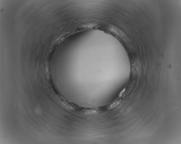 X0000072940572200608181344