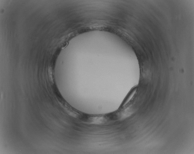 X0000072940575200608181344