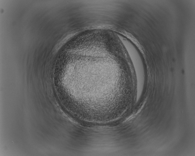 X0000072940577200608181343