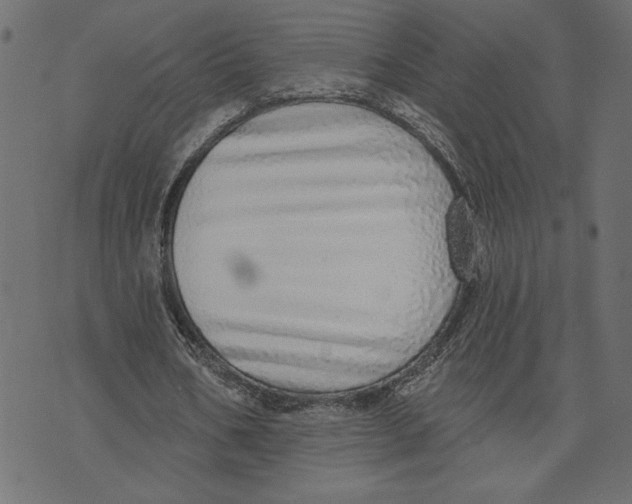 X0000072940578200608181343