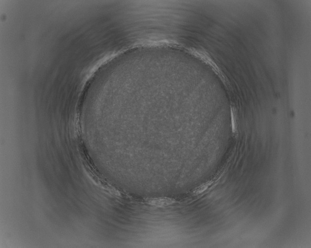 X0000072940579200608181343