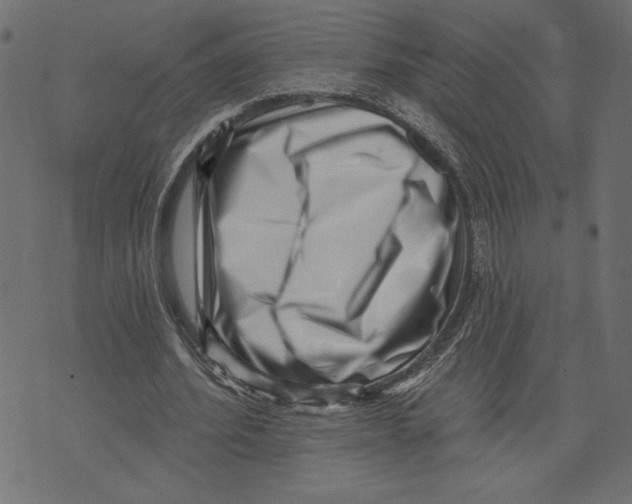 X0000072940580200608181343