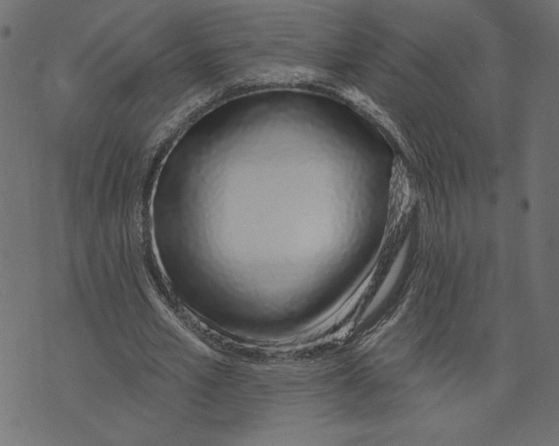 X0000072940581200608181343