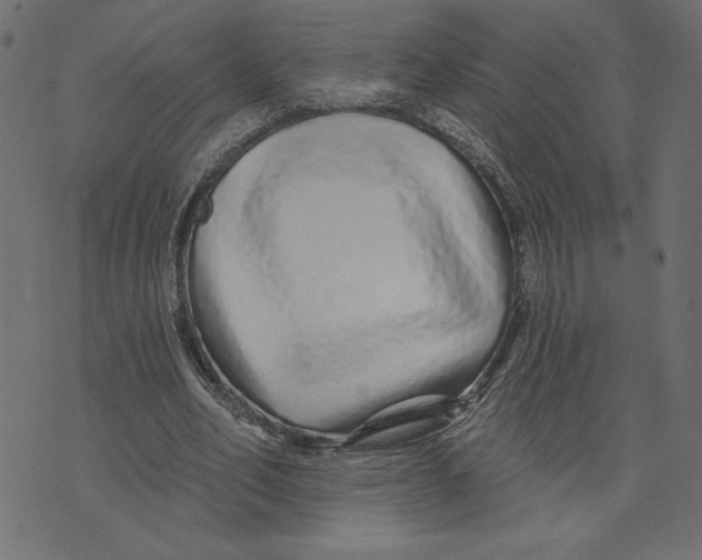 X0000072940582200608181343