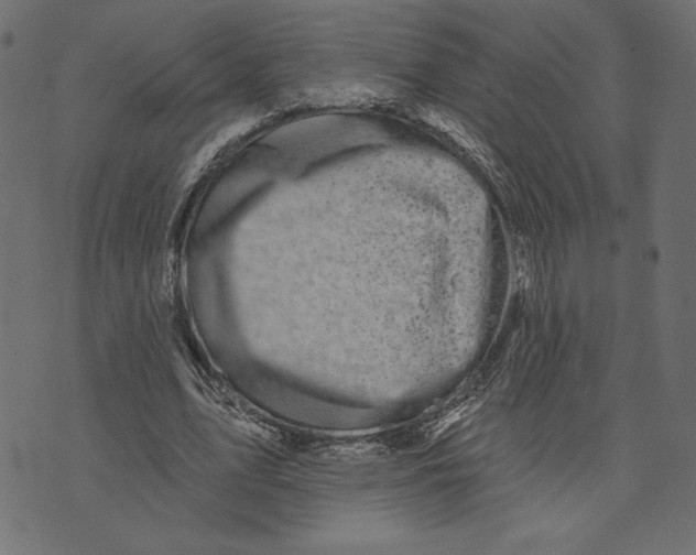 X0000072940583200608181343