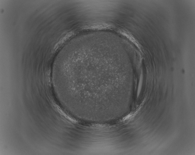 X0000072940585200608181343