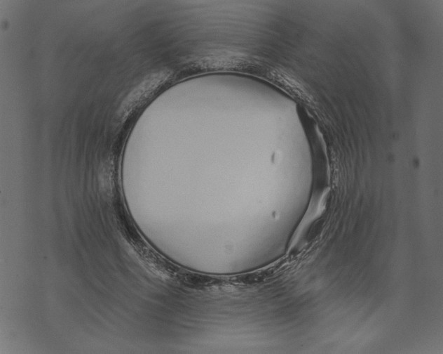 X0000072940586200608181343