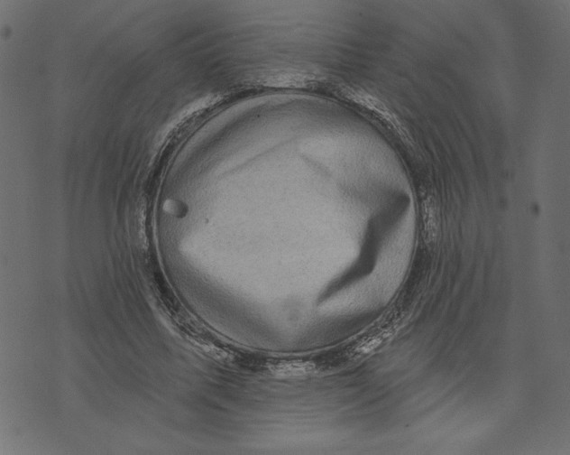 X0000072940587200608181343