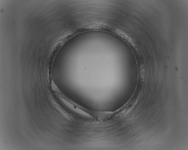 X0000072940589200608181343