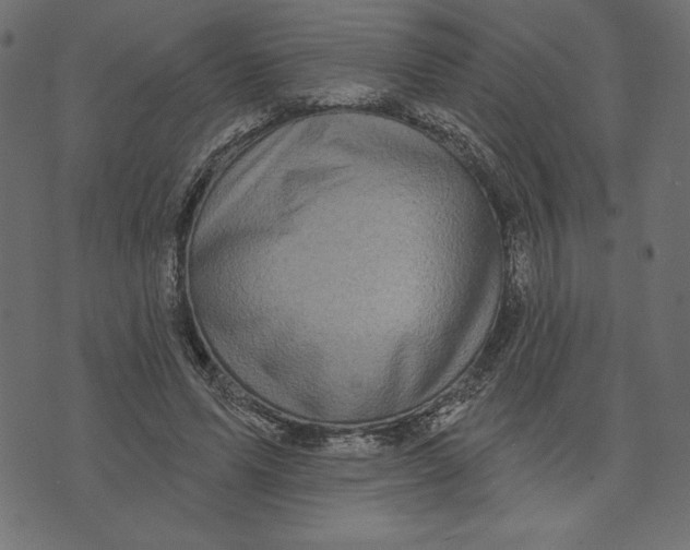 X0000072940591200608181343