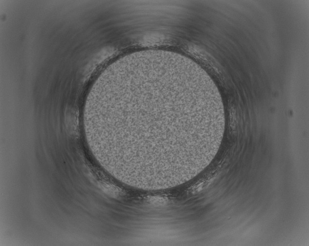 X0000072940592200608181343