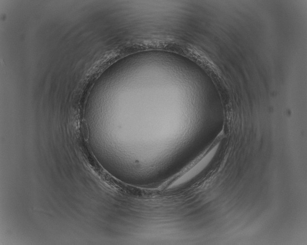 X0000072940593200608181343