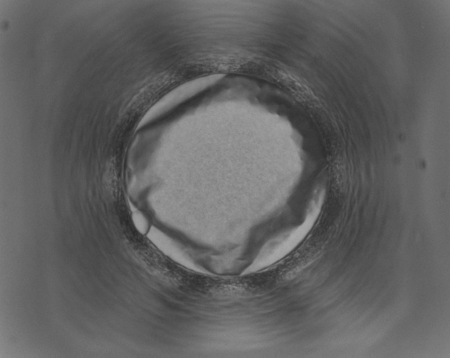 X0000072940594200608181343