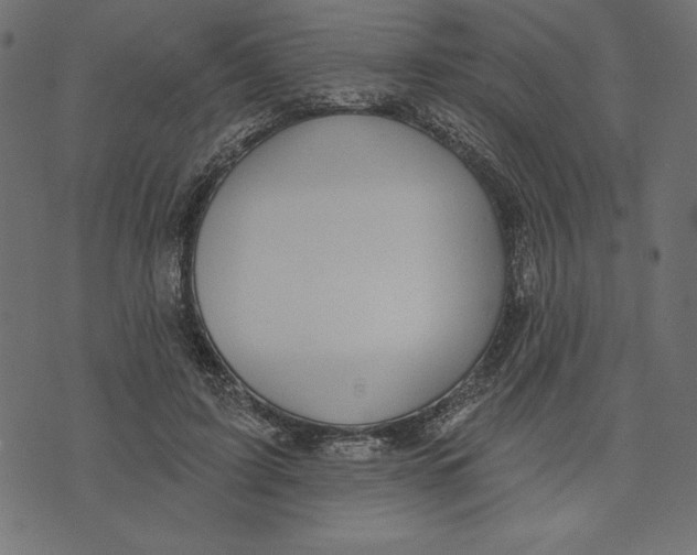 X0000072940595200608181343