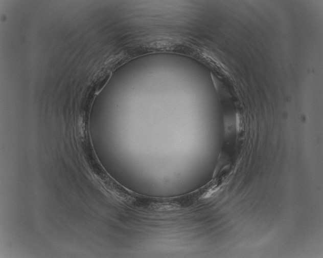 X0000072940597200608181343