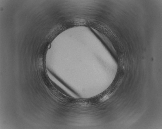 X0000072940598200608181343