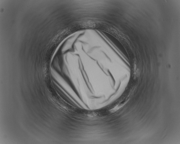 X0000072940600200608181343