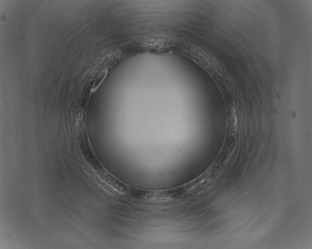 X0000072940601200608181343