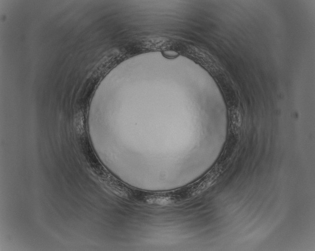 X0000072940602200608181343