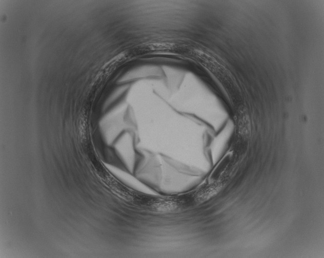 X0000072940604200608181343