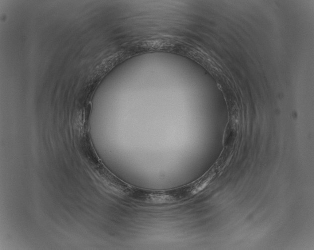 X0000072940605200608181343