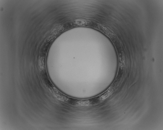 X0000072940606200608181343