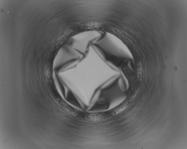 X0000072940608200608181343