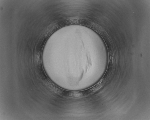 X0000072940610200608181343