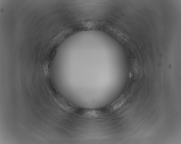 X0000072940611200608181343