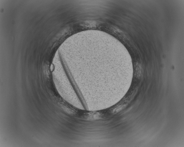 X0000072940612200608181343