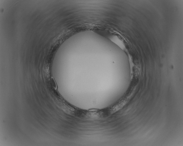 X0000072940613200608181343