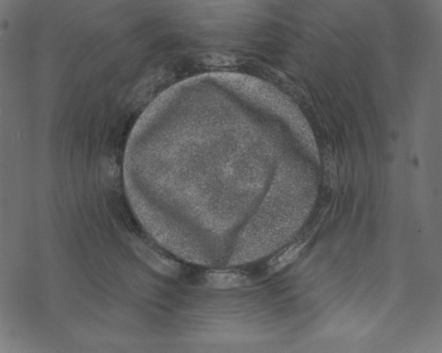 X0000072940614200608181343