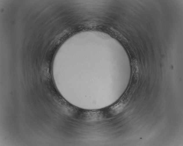 X0000072940615200608181343