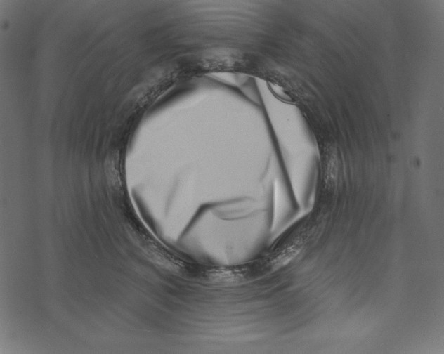 X0000072940616200608181343