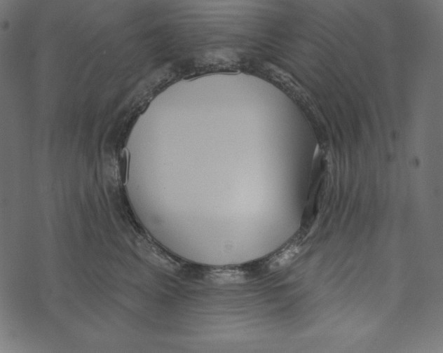 X0000072940617200608181343