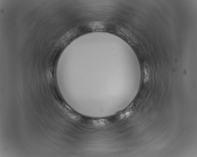 X0000072940618200608181343