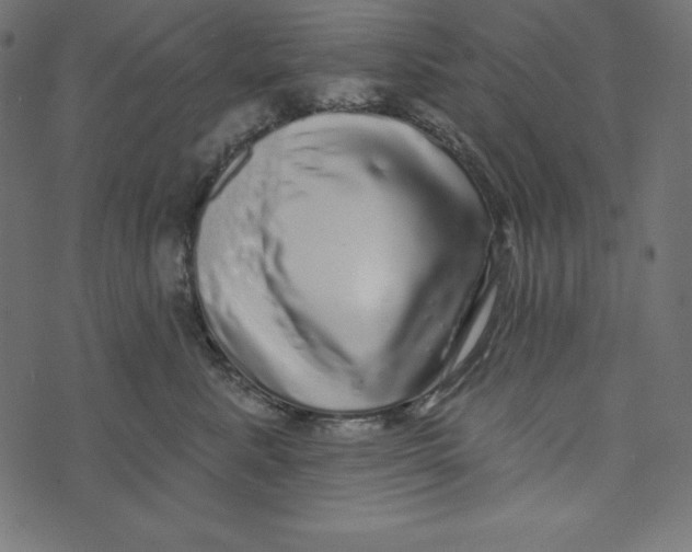 X0000072940619200608181342