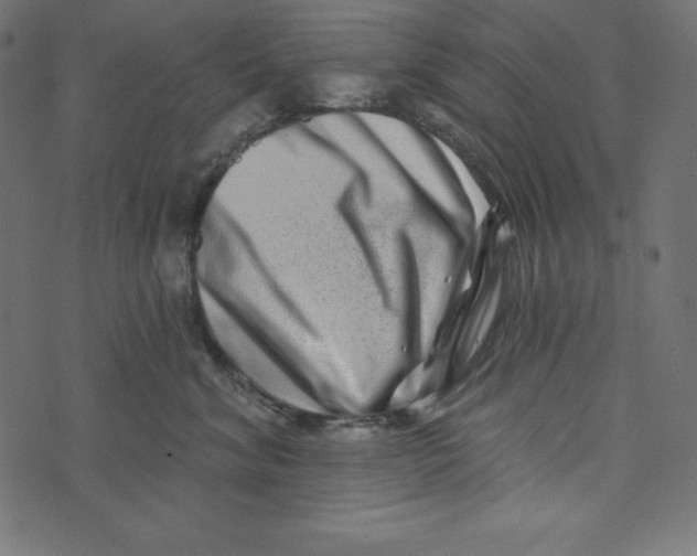 X0000072940620200608181342