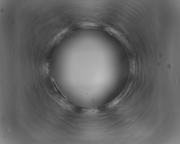 X0000072940621200608181342