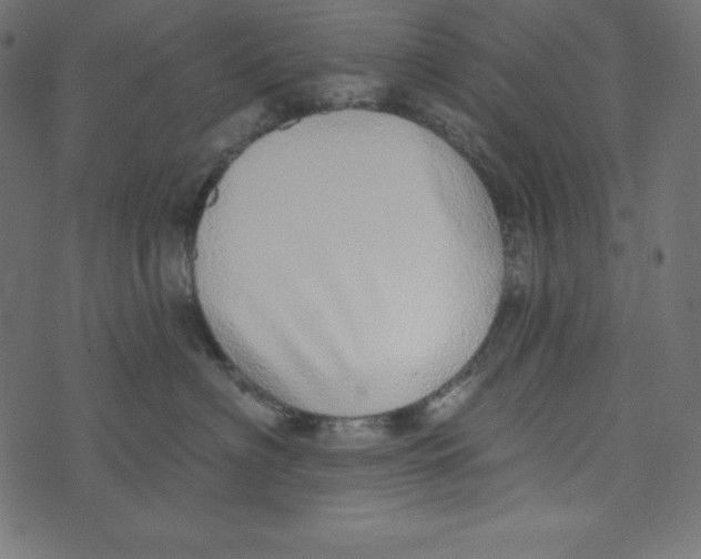 X0000072940622200608181342