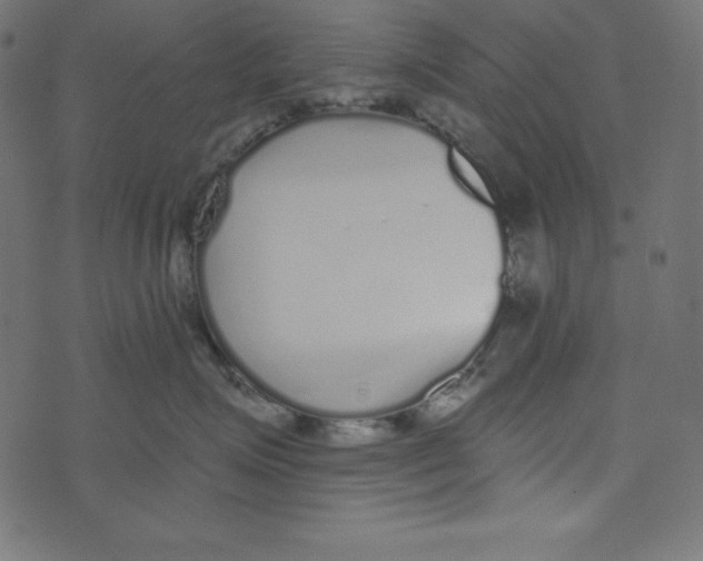 X0000072940623200608181342