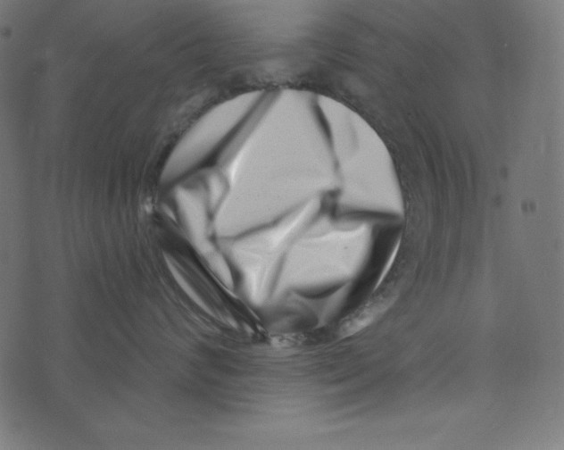 X0000072940624200608181342