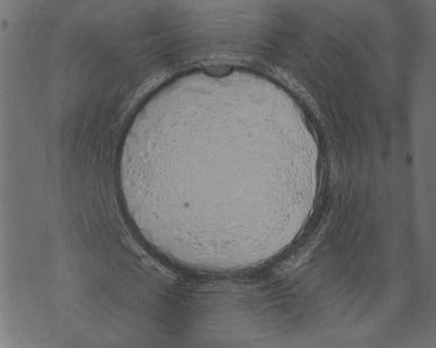 X0000072940625200608181342