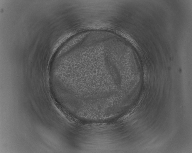 X0000072940626200608181342