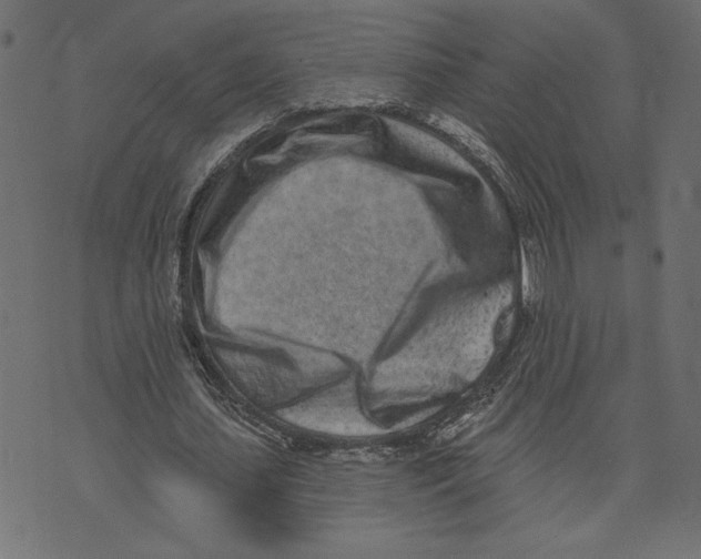 X0000072940627200608181342