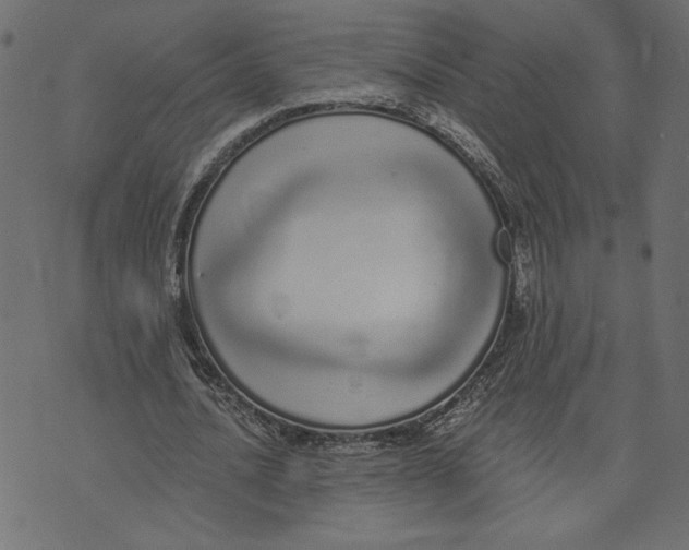 X0000072940628200608181342