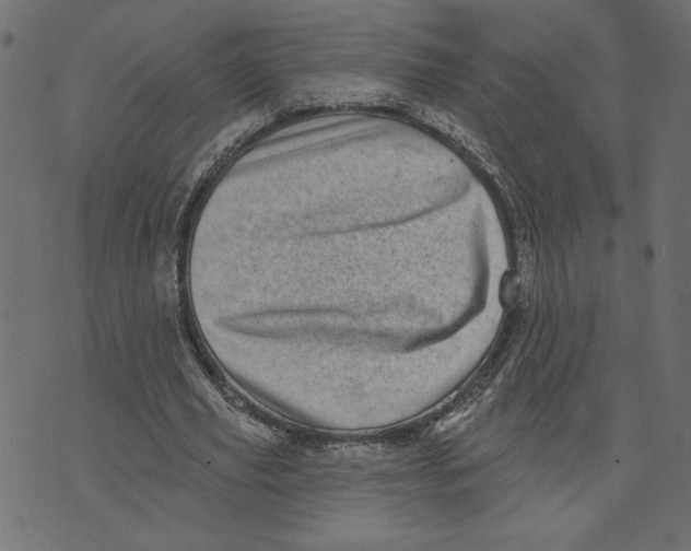 X0000072940629200608181342