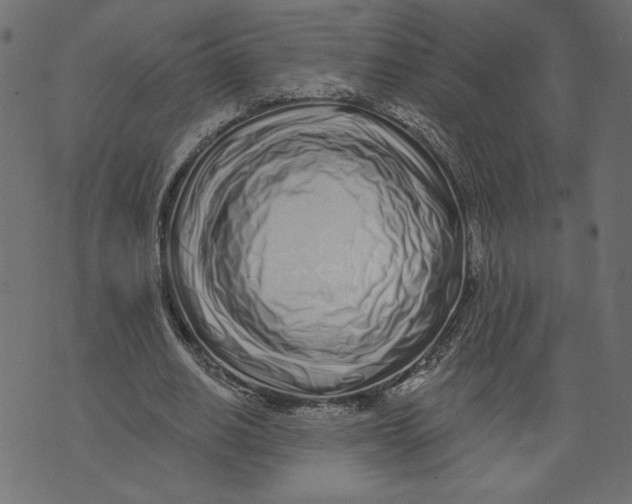 X0000072940630200608181342